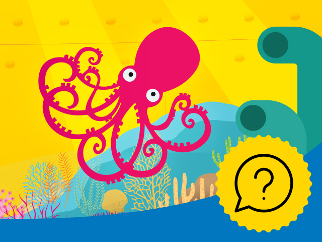 beatles octopus garden quiz